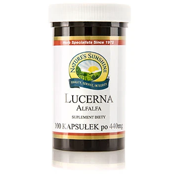 Lucerna (100 kaps.) (1)